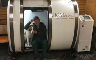 みなとよこはま動物病院様(横浜)